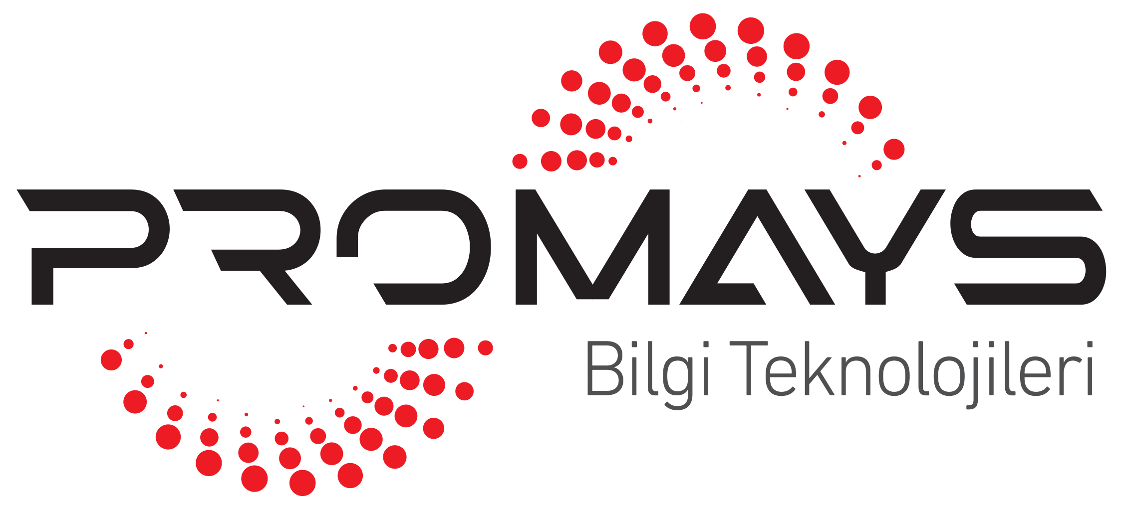 Promays Bilgi Teknolojileri Logo